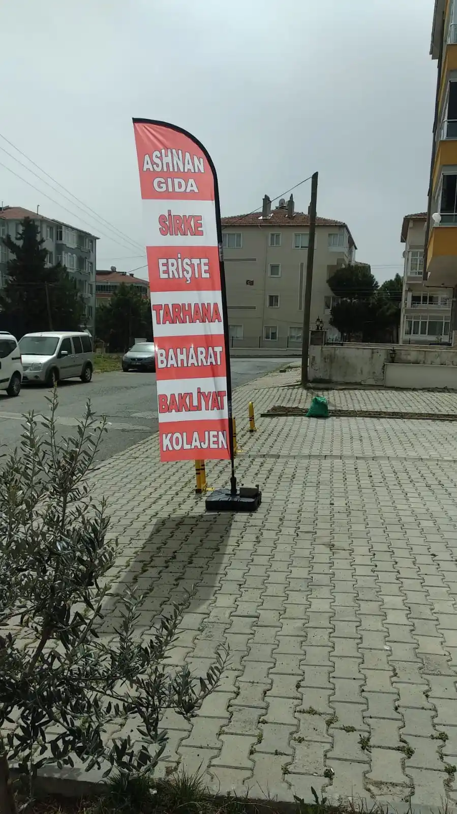 Lokman Hekim Olta Bayrağı-8