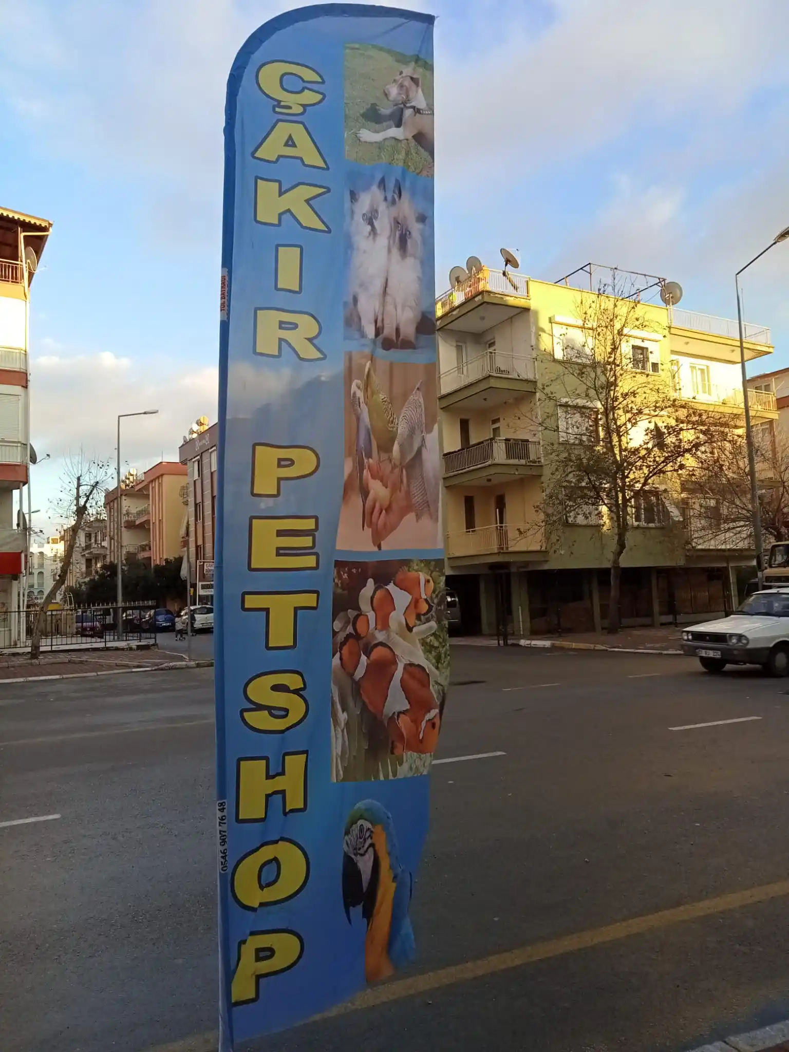 Petshop Olta Bayrağı-25